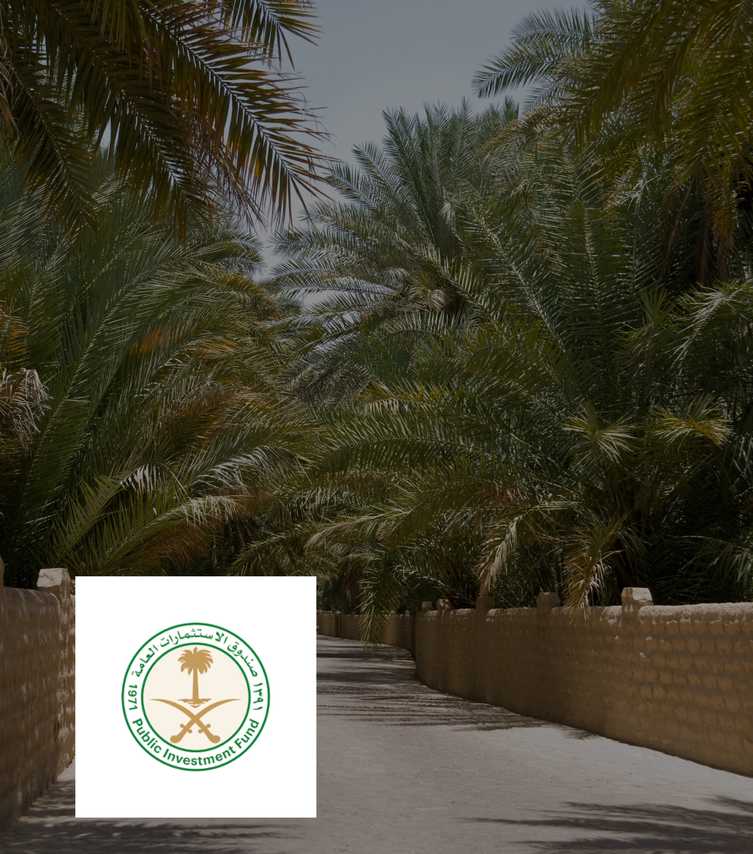 Luxury Eco Resort: 2022