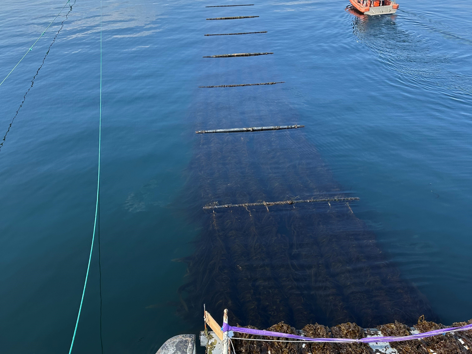 Turn Intention Into Action