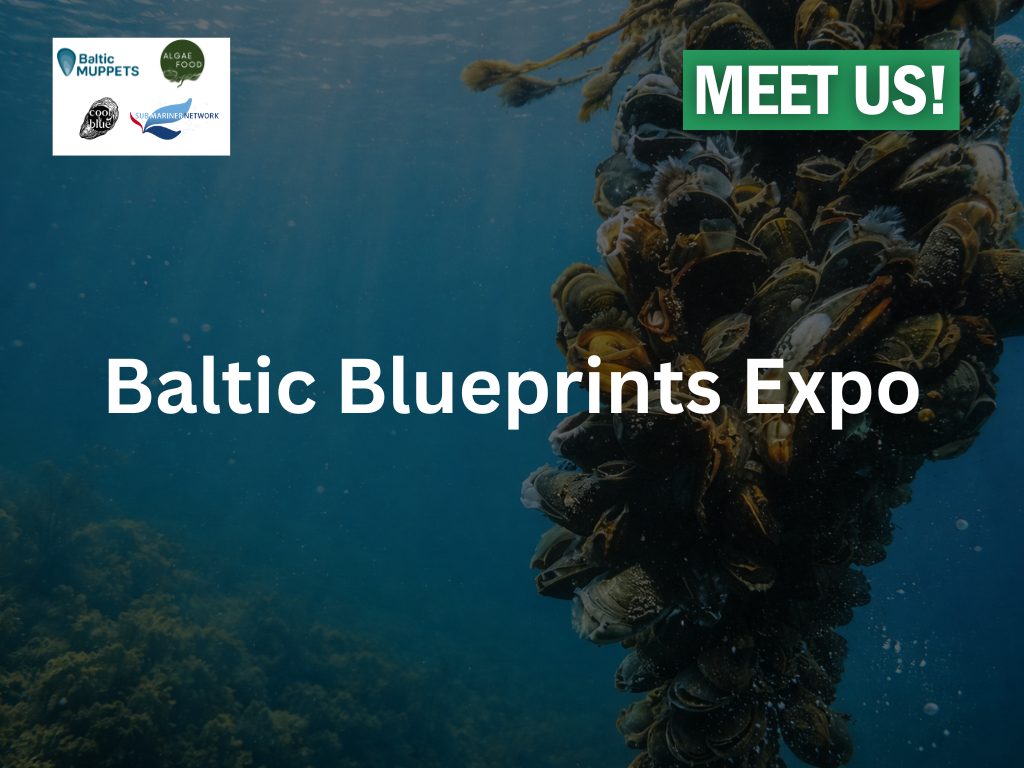 Baltic Blueprints Expo