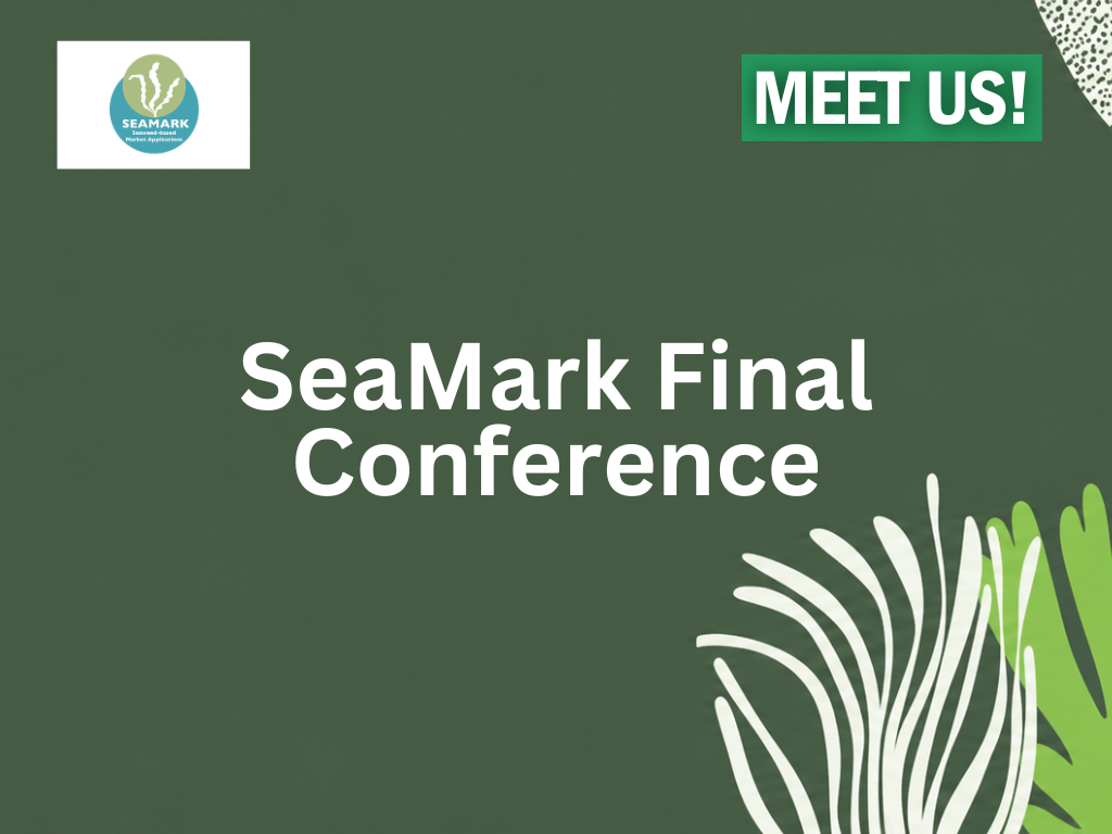 SeaMark Final Conference