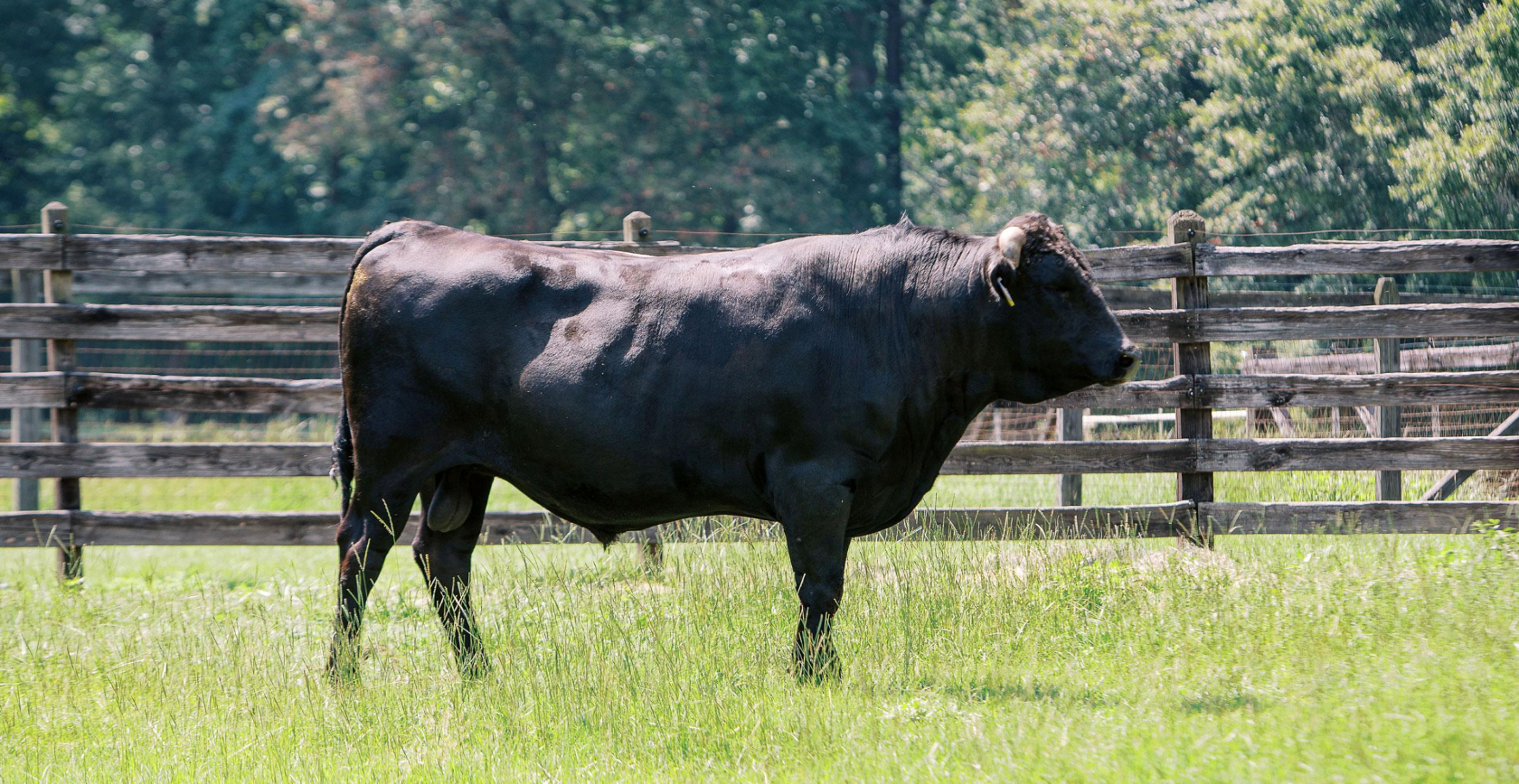 BuildingPhoto 2 1 (1).png