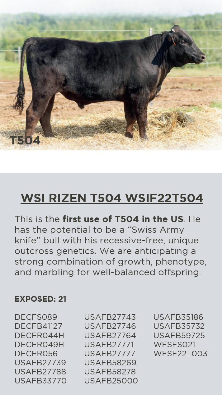 WSI RIZEN T504 WSIF22T504