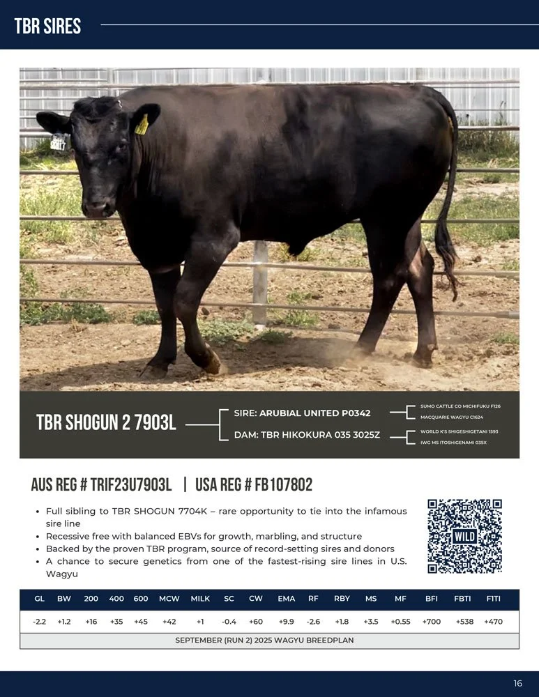 Sire-Directory-2025-(1)-18.jpg