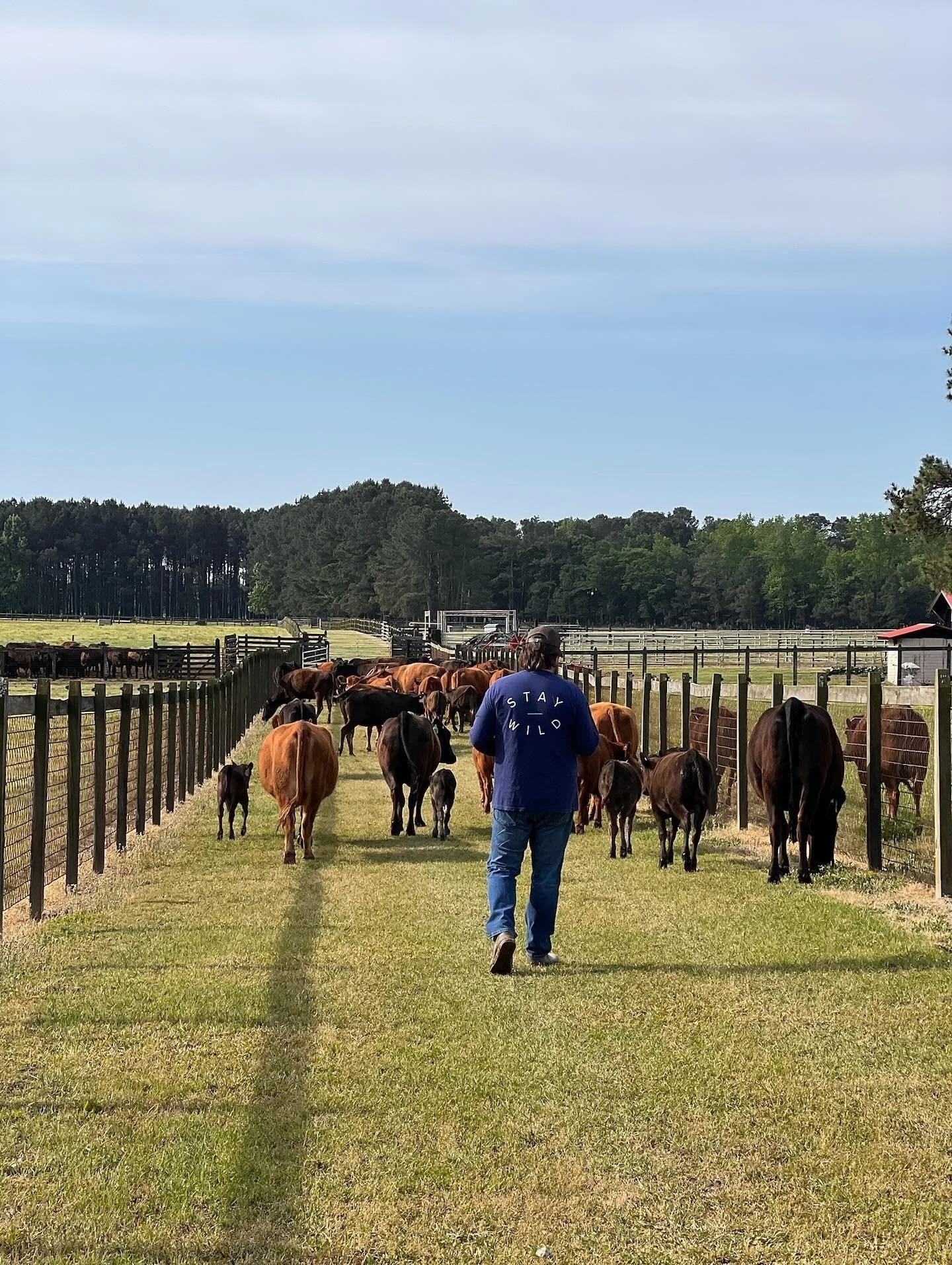 New year. Same drive.
Looking ahead to a WILD year on the farm!
