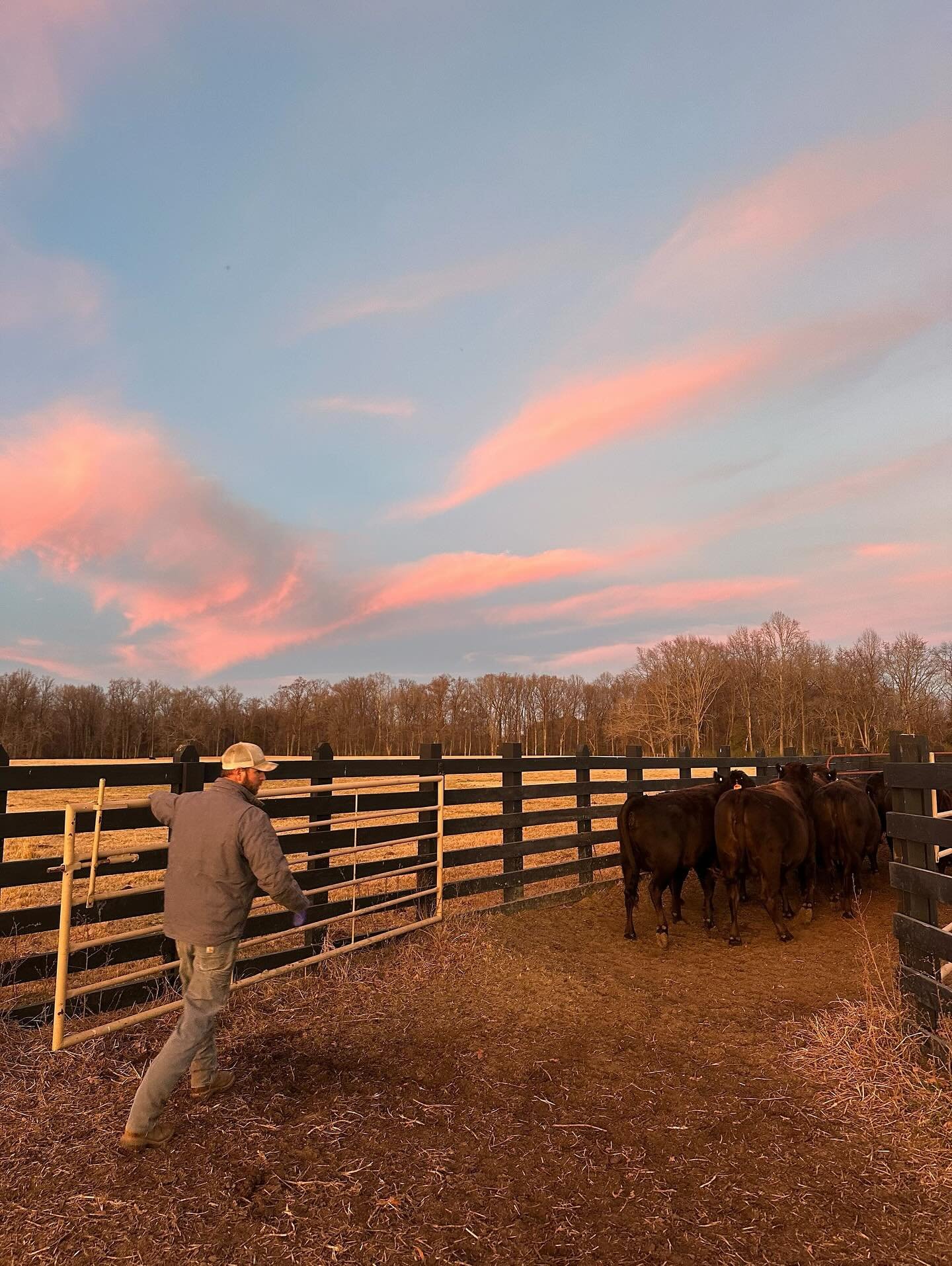Breeding prep is underway at the farm!

This is just the beginning &mdash; kicking off a busy season focused on planning, intention, and breeding for the future. Grateful for the team behind it all!

#StayWILD