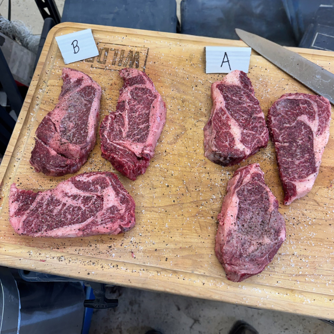 Untitled design (14).png