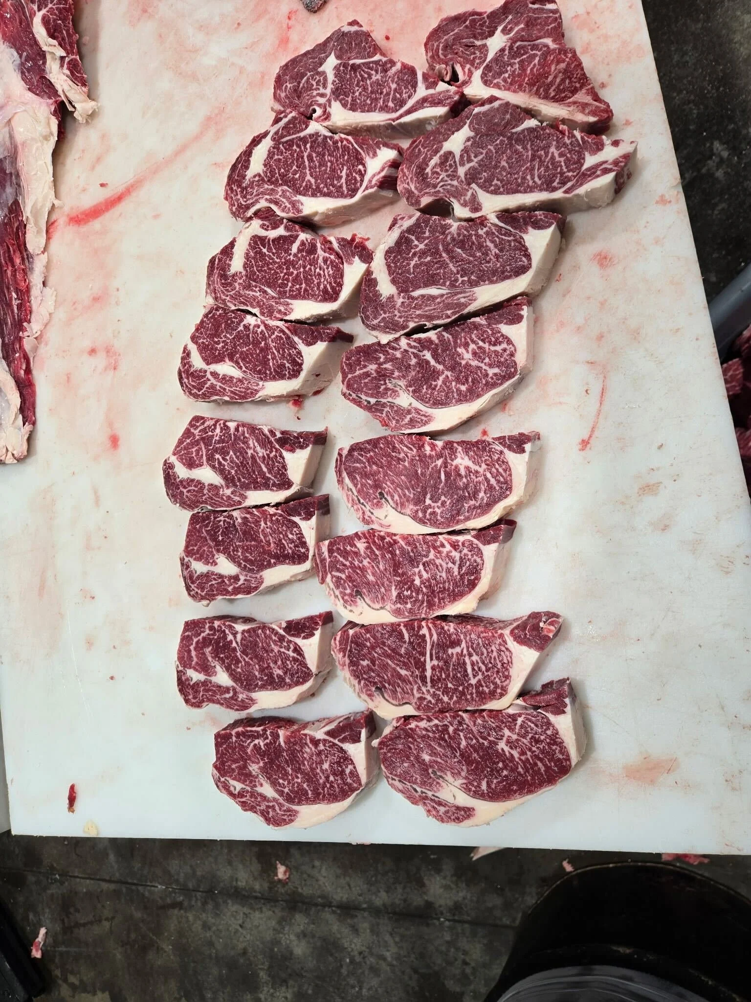 Wilders Wagyu Taste Test