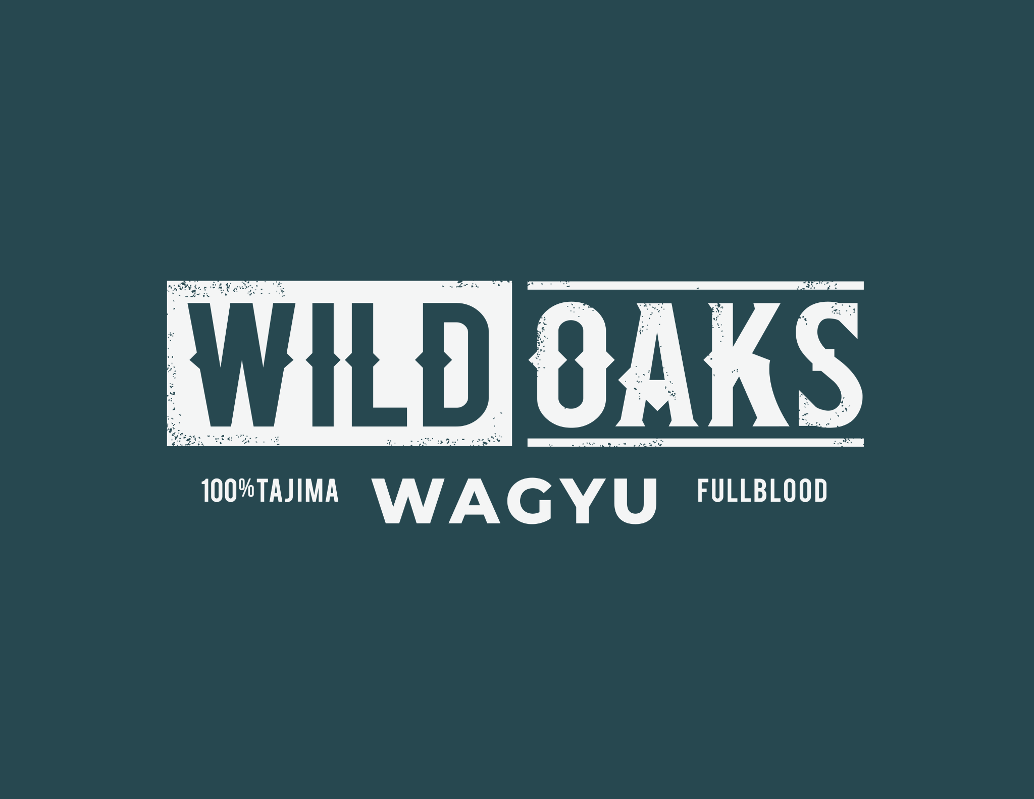 Untitled design (15).png