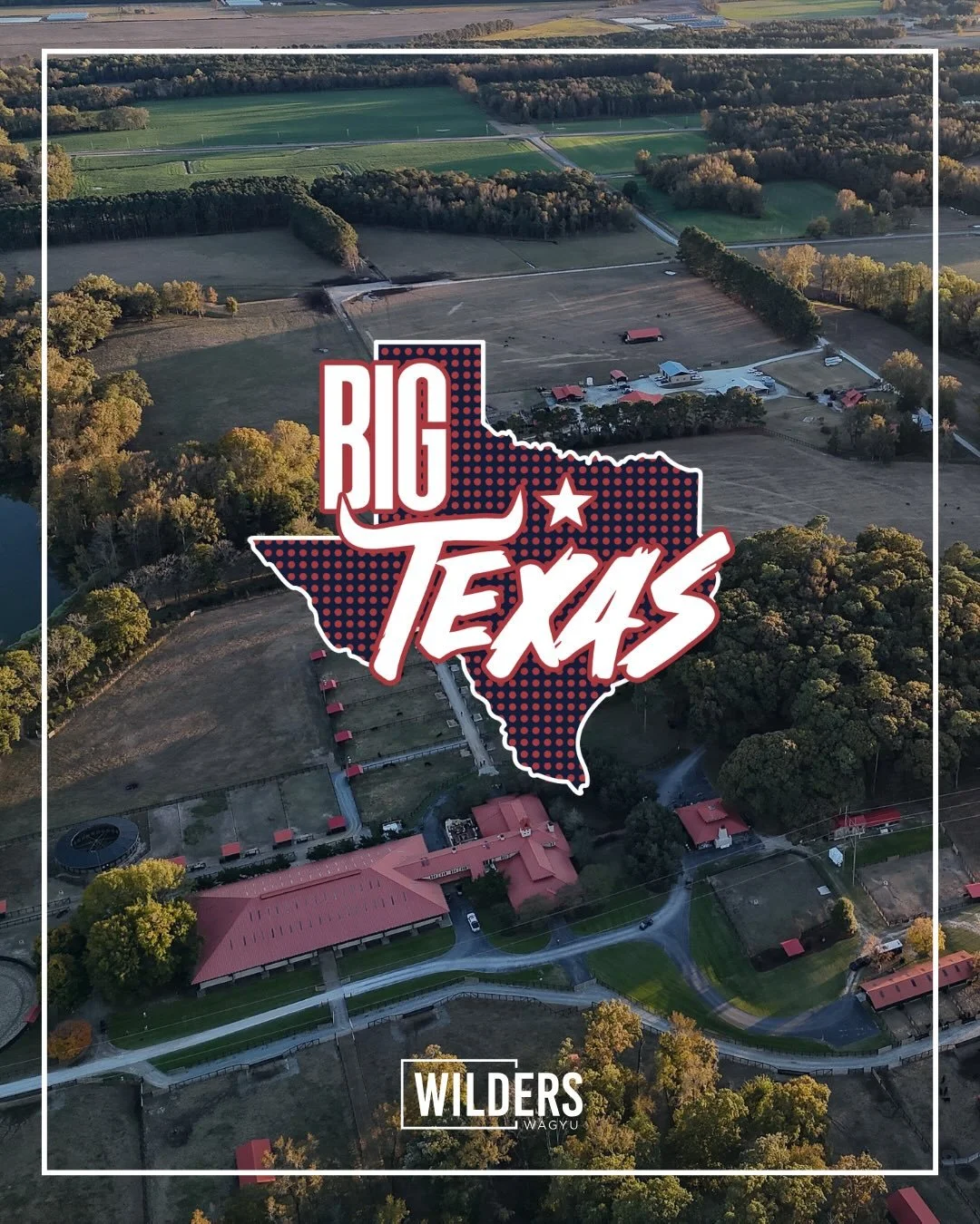 🔥 BIG TEXAS SALE 🔥

The Wilders Wagyu team is headed to Fort Worth for the 2026 Texas Wagyu Association Big Texas Sale with a lineup built around carcass quality, maternal strength, foundational bloodlines, and long-term breeding value.
📍 Fort Wor