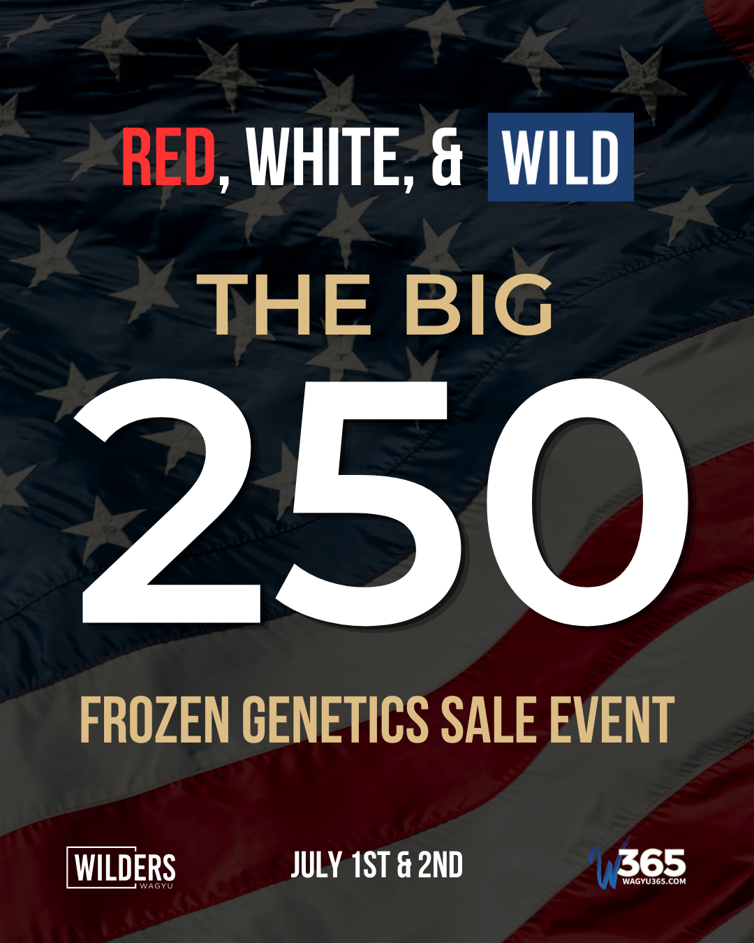 RED, WHITE, &amp; WILD: Looking Back at The Big 250