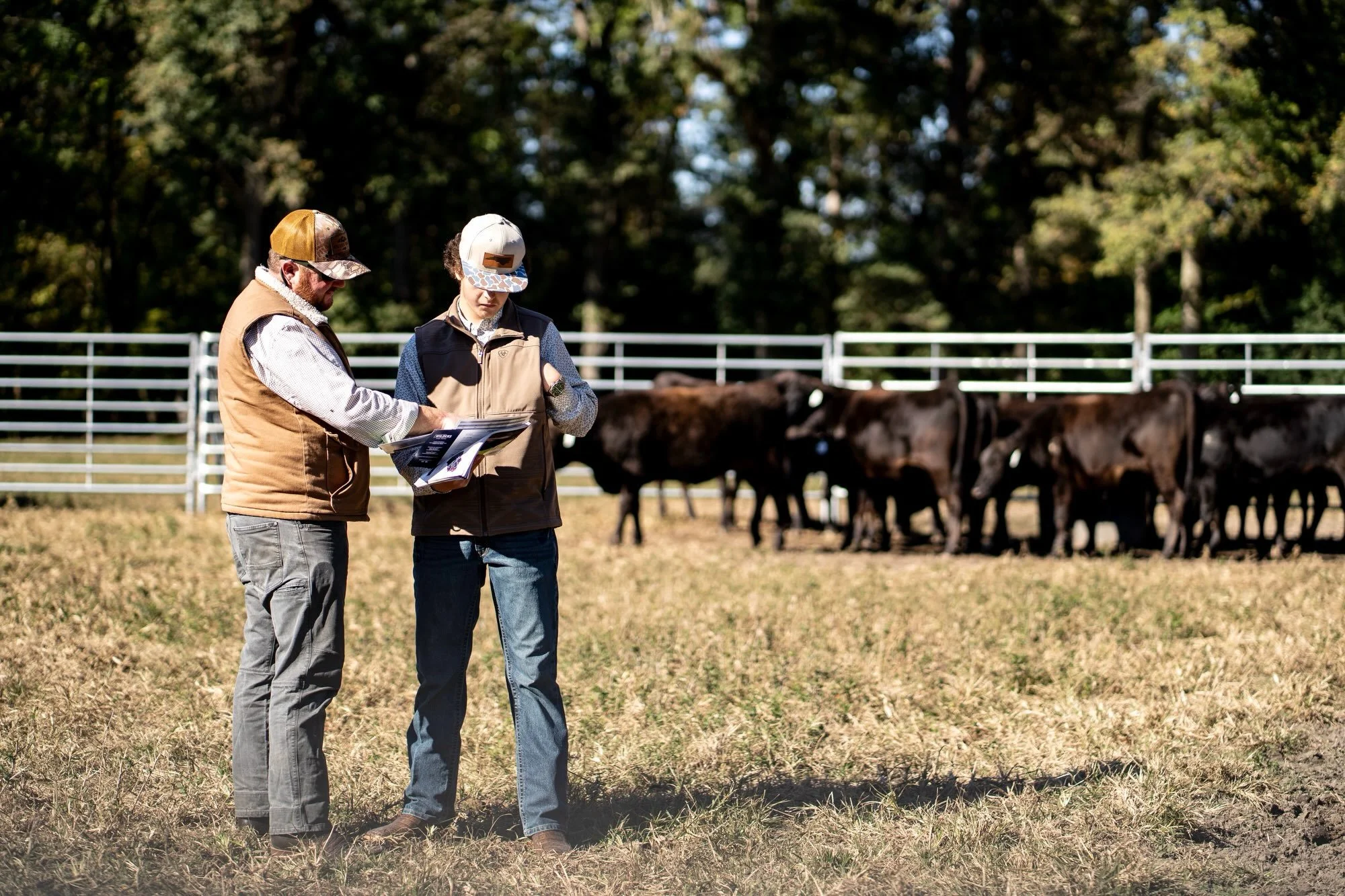 Only 80 days until our farm looks like this again! 🐂

Preparations for StayWILD&rsquo;26 are well underway, and we are looking forward to welcoming everyone back to the farm and presenting this year&rsquo;s offering.

Make plans to join us and RSVP 
