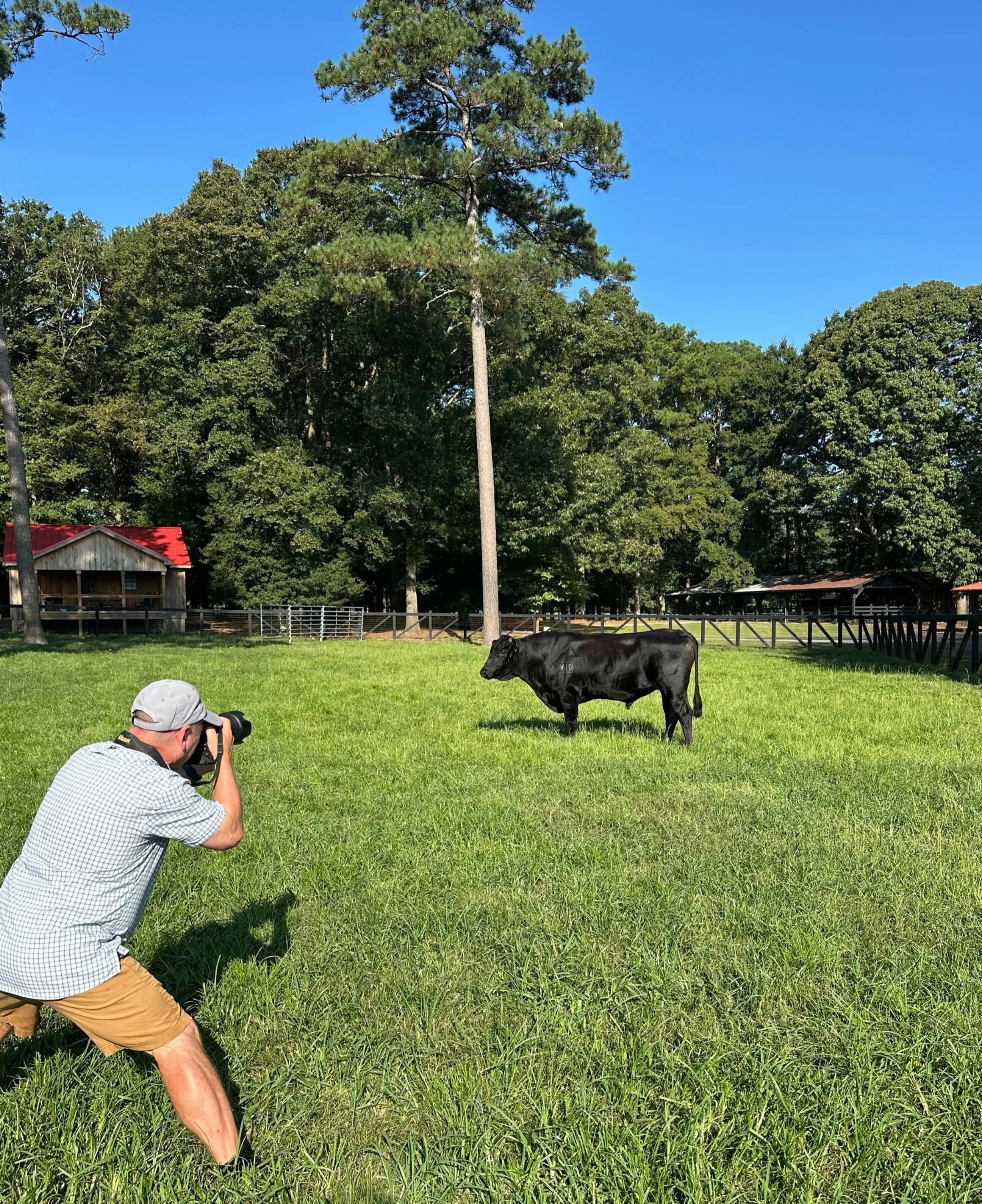 A big thank you to Allan Browarny, @ab_bullshooter with @showchampions for spending the week with us at the farm, capturing sale lot photos for StayWILD&rsquo;26!

We cannot wait to see the final edits come together in this year&rsquo;s sale catalog 