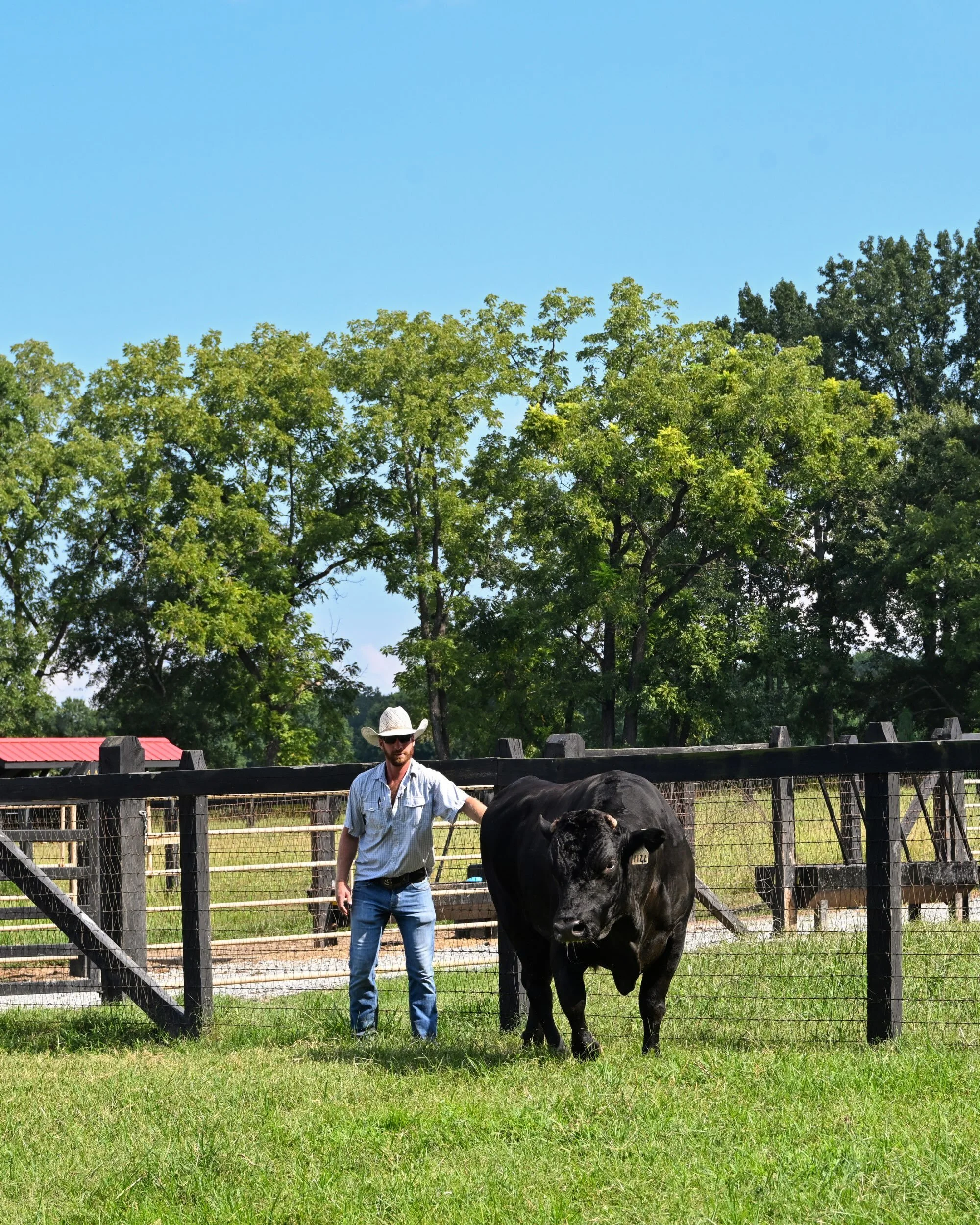 Raising cattle, caring for the land, and building a herd we&rsquo;re proud of takes work every day.

On National Farmers Day, we want to thank our farm crew for all they do here at Wilders and recognize the farmers across our community who put that s