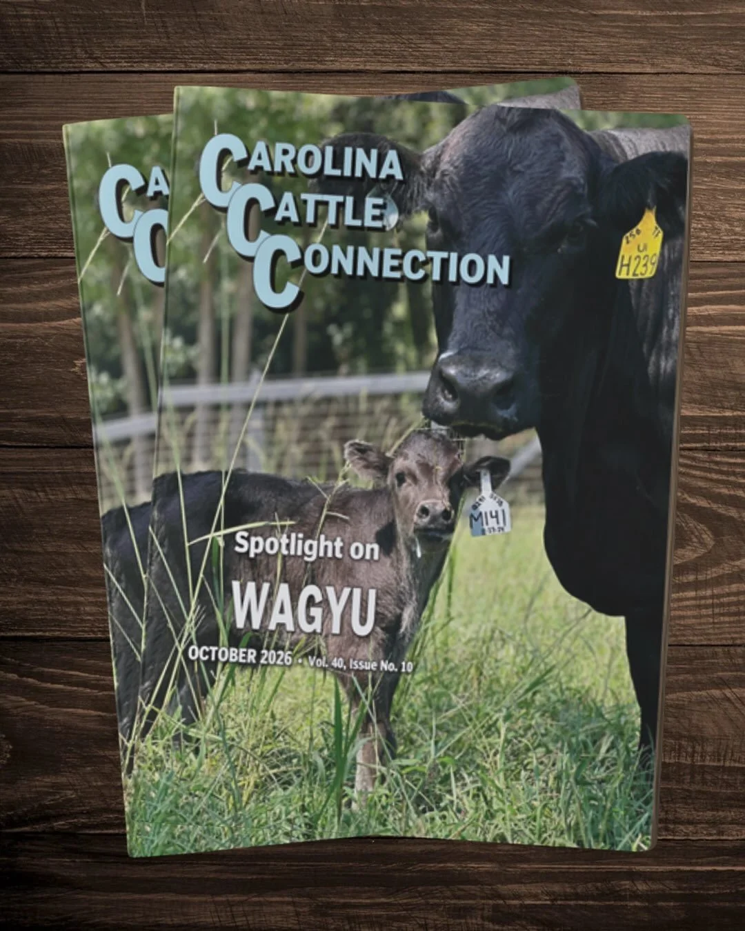 We&rsquo;re proud to share a look at Wilders Wagyu in the October 2026 issue of Carolina Cattle Connection! 🐂

You&rsquo;ll find us on the cover and inside the issue, sharing our farm&rsquo;s story and the work behind our Wagyu program. From the cat