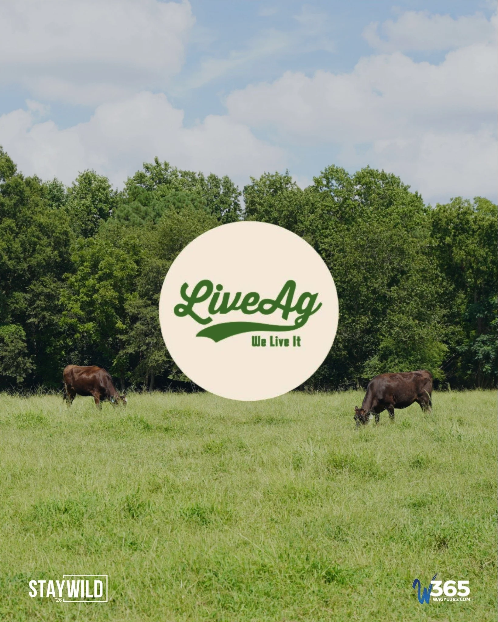 Can&rsquo;t make it to the farm? You can still bid on the best of our herd at StayWILD&rsquo;26! 🐂

Join us online through LiveAg on Saturday, November 7, at 1 PM EST for our Fullblood Wagyu Production Sale. With proven genetics and carcass data bac