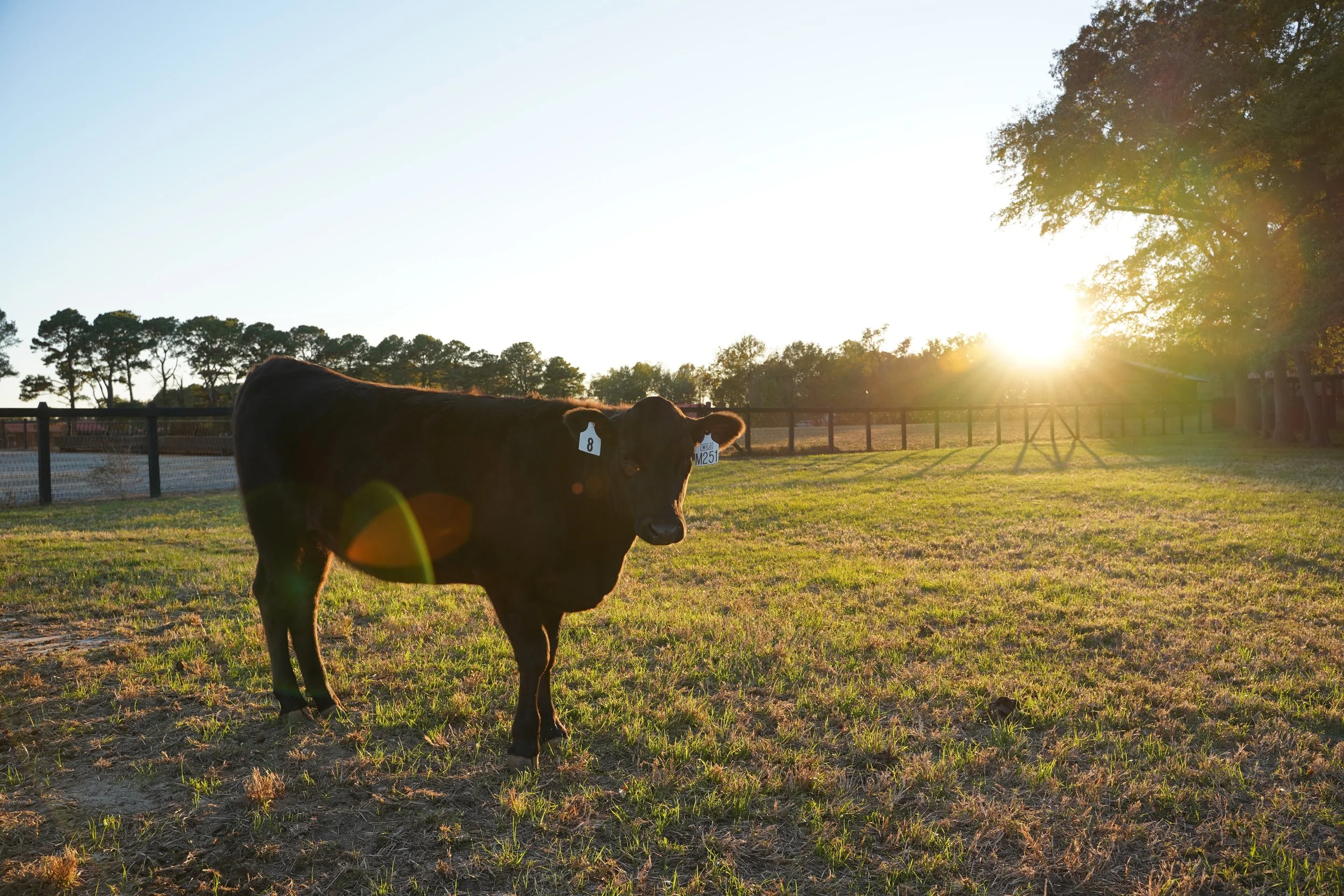 DSC00893.JPG