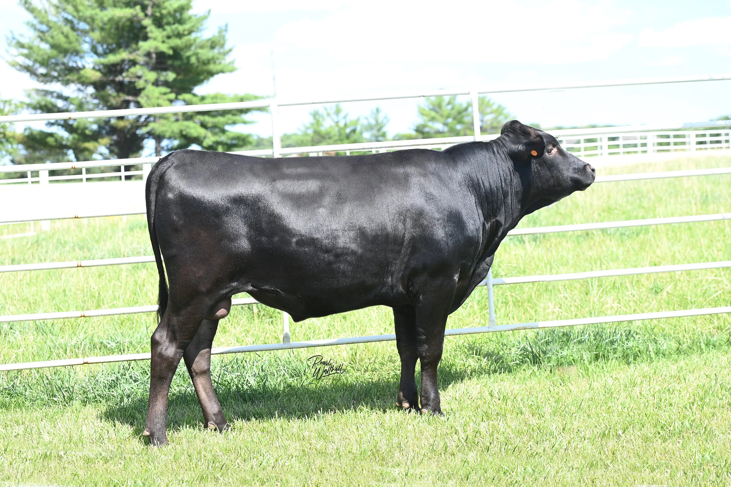 26bef5aa-c85e-4dd8-9718-505477d84f86 L112.jpg