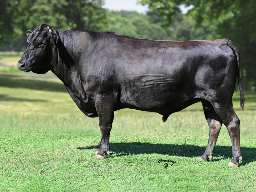 29-1 40F (2) (1).png