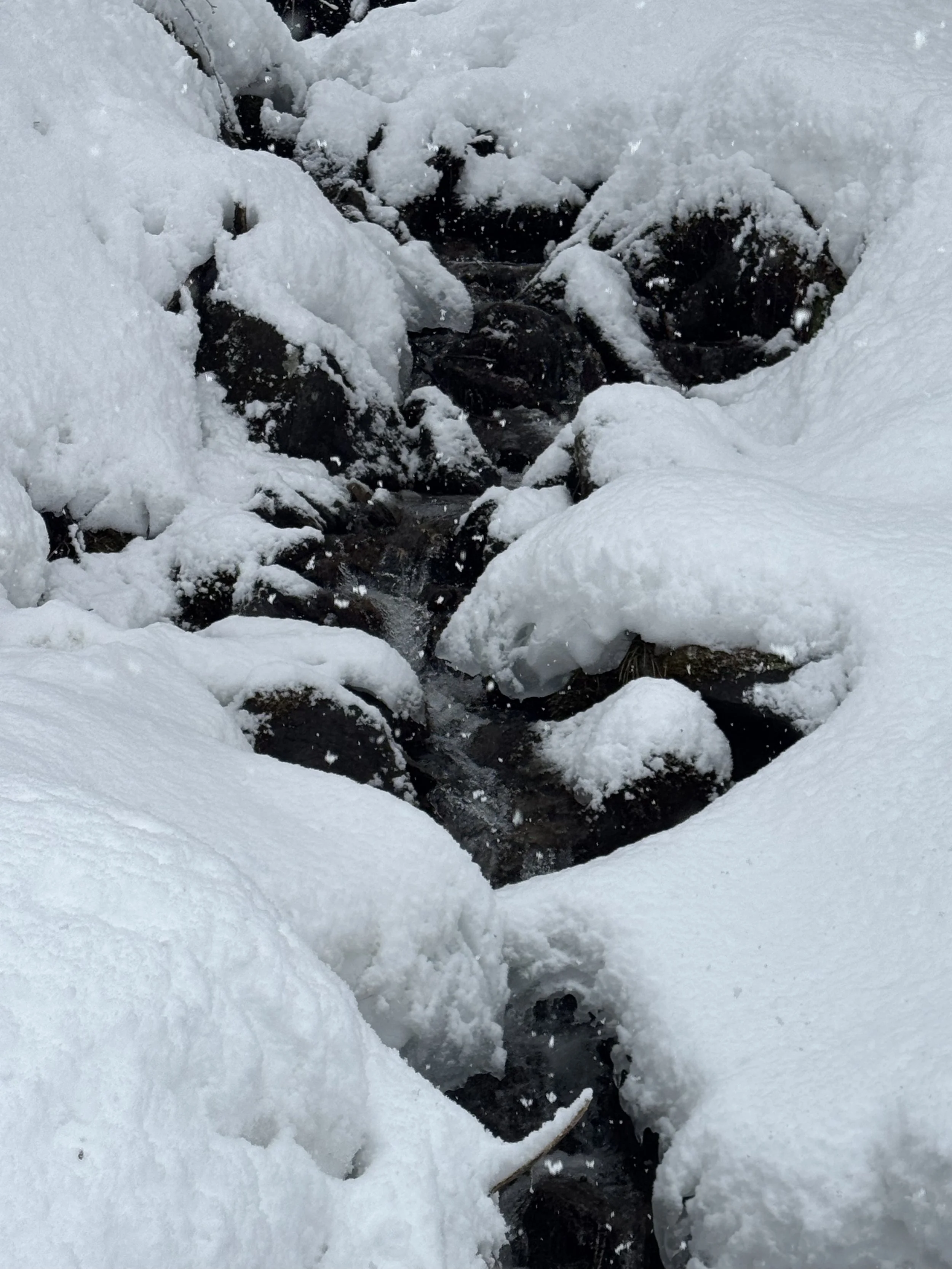Résidence de création