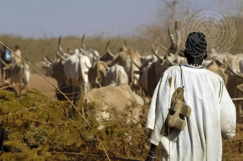 South Sudan Borderlines: Implications for External Actors (CSRF, forthcoming)