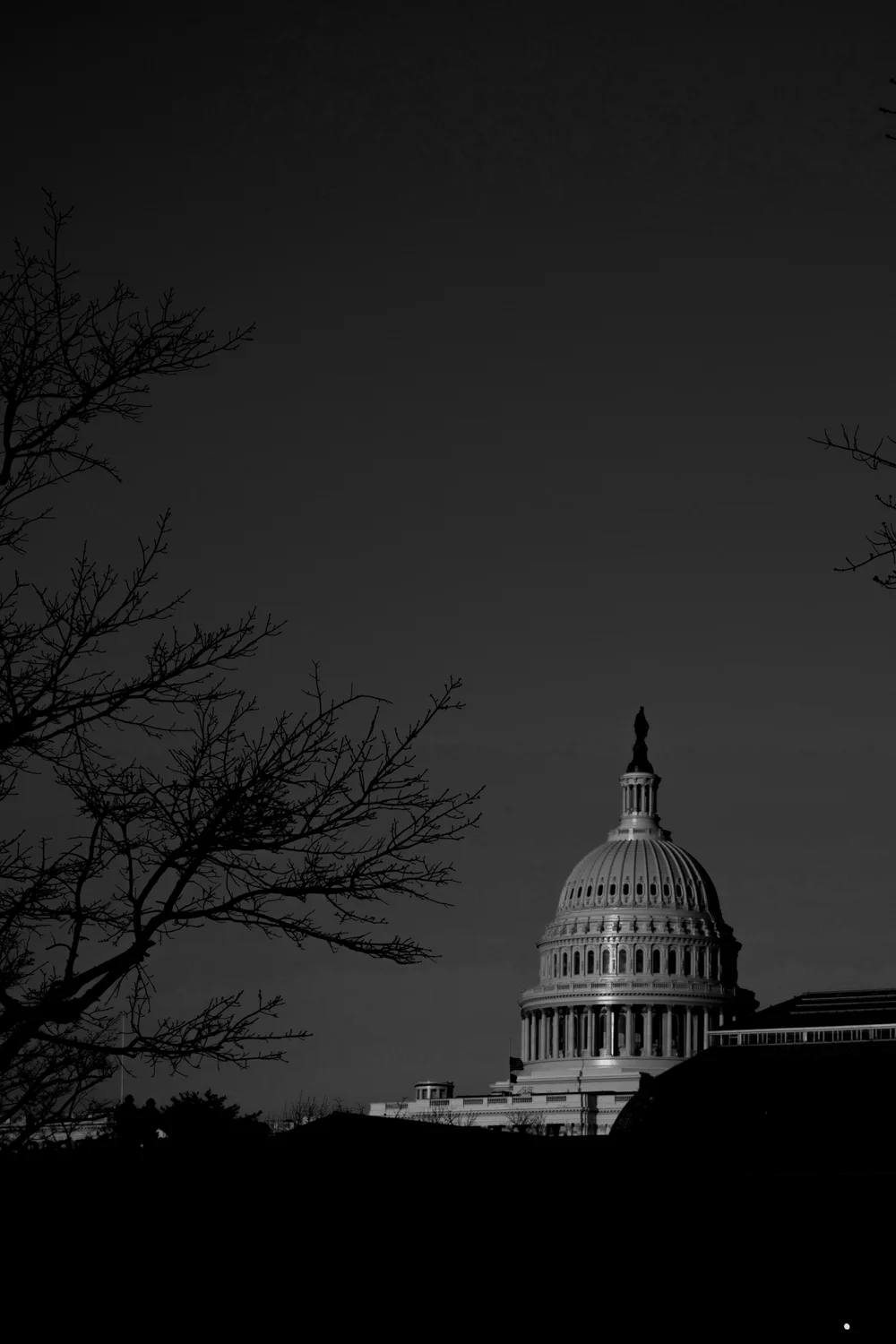 Black and white photo of the U.S. Capitol building with leafless tree branches on the left side of the image.
