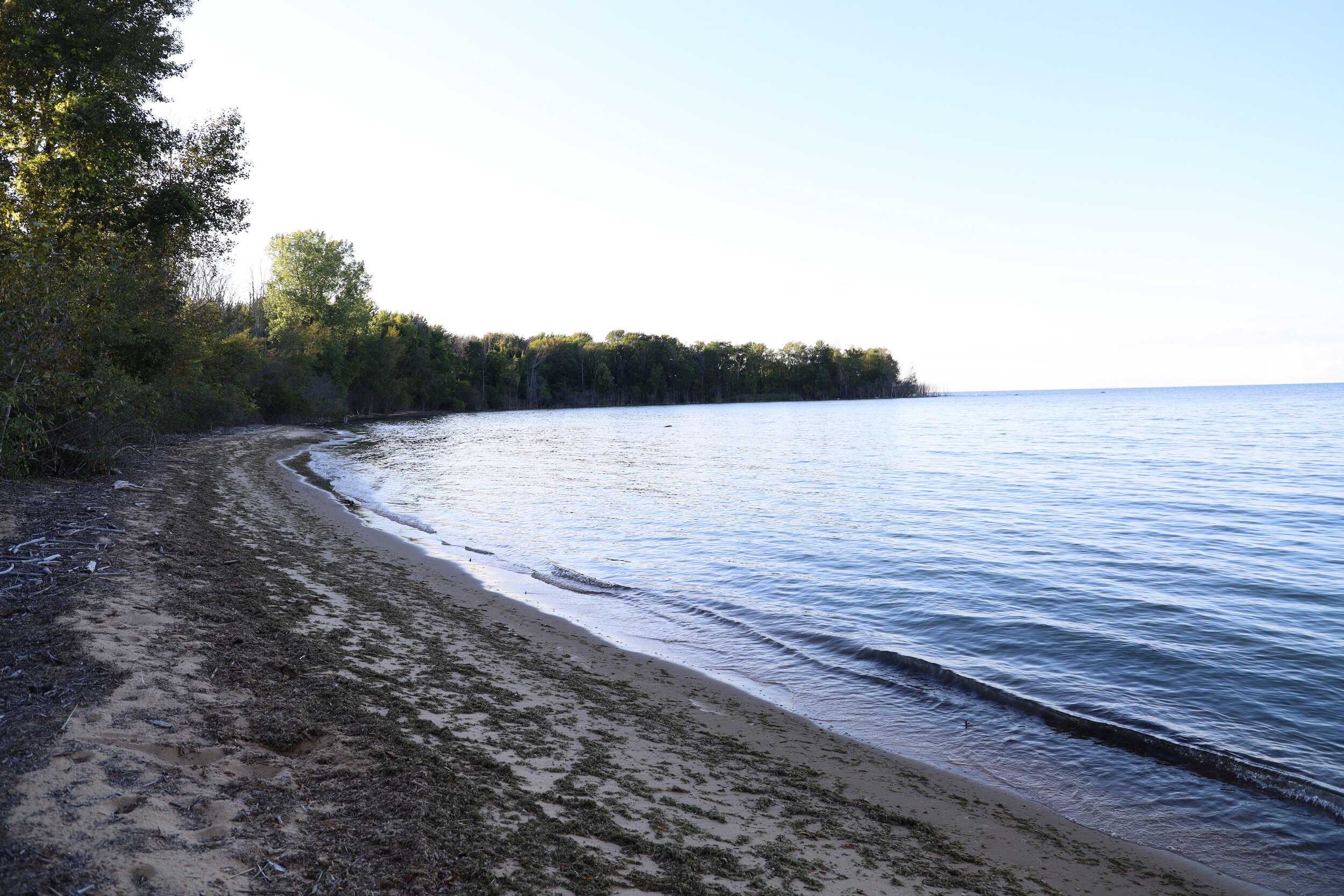 Secluded+Beach+and+Shoreline+-+Whiskey+Harbor+-+Kernan+Memorial+Nature+Sanctuary.jpeg