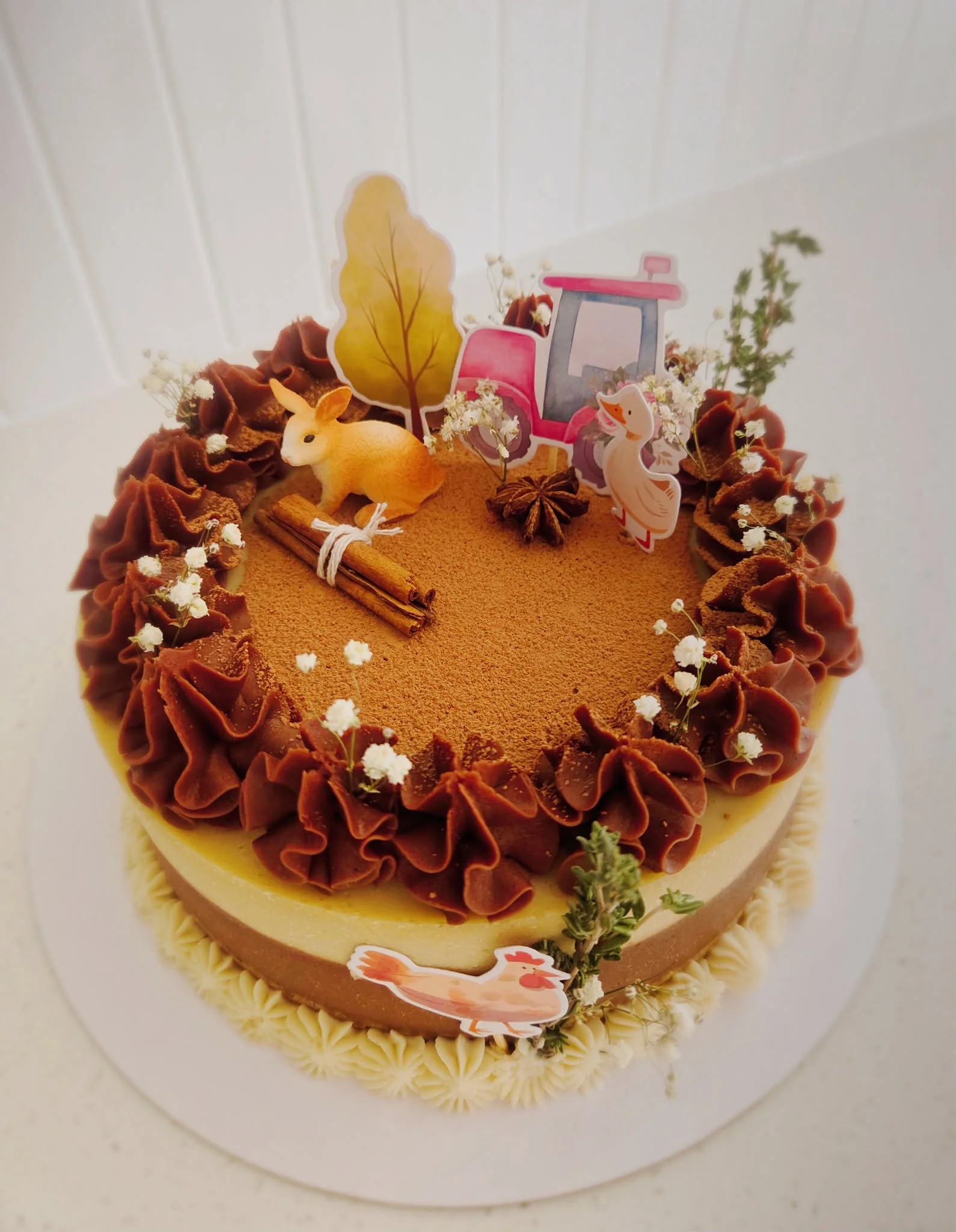 Gâteau enfant - tiramisu - thème ferme.jpg