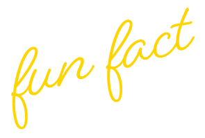 Text reading 'fun fact' in yellow cursive font on a black background.