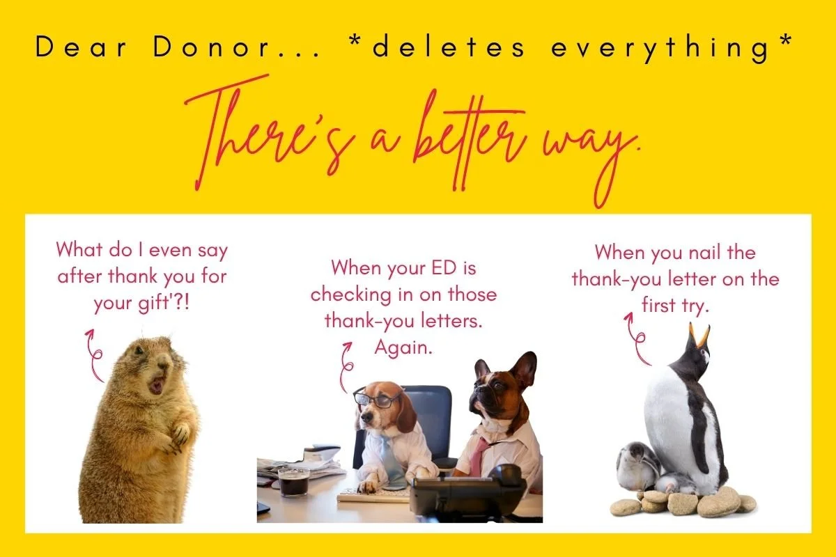 Funny animals illustrating the challenge of writing donor thank-you letters — a practical guide to nonprofit donor stewardship and retention.