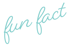 Stylized teal text reading 'fun fact' on a light background.