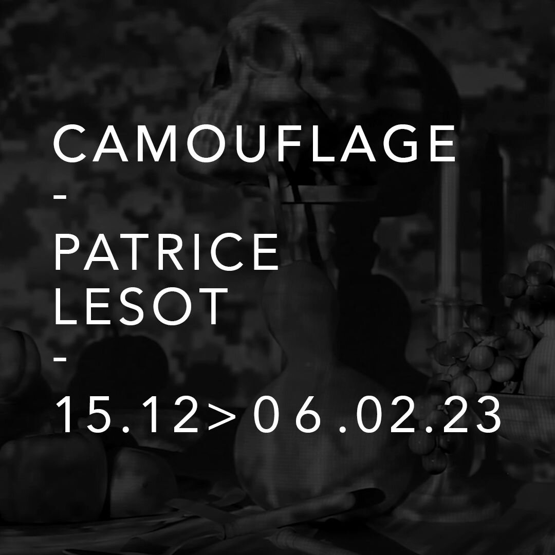 CAMOUFLAGE
Patrice Lesot
15.12 &gt; 06.02.2023

CAMOUFLAGE est une installation vid&eacute;o sur le th&egrave;me des vanit&eacute;s cr&eacute;&eacute;e par l'artiste Patrice Lesot. R&eacute;alis&eacute;e comme un cabinet de curiosit&eacute;s augment&