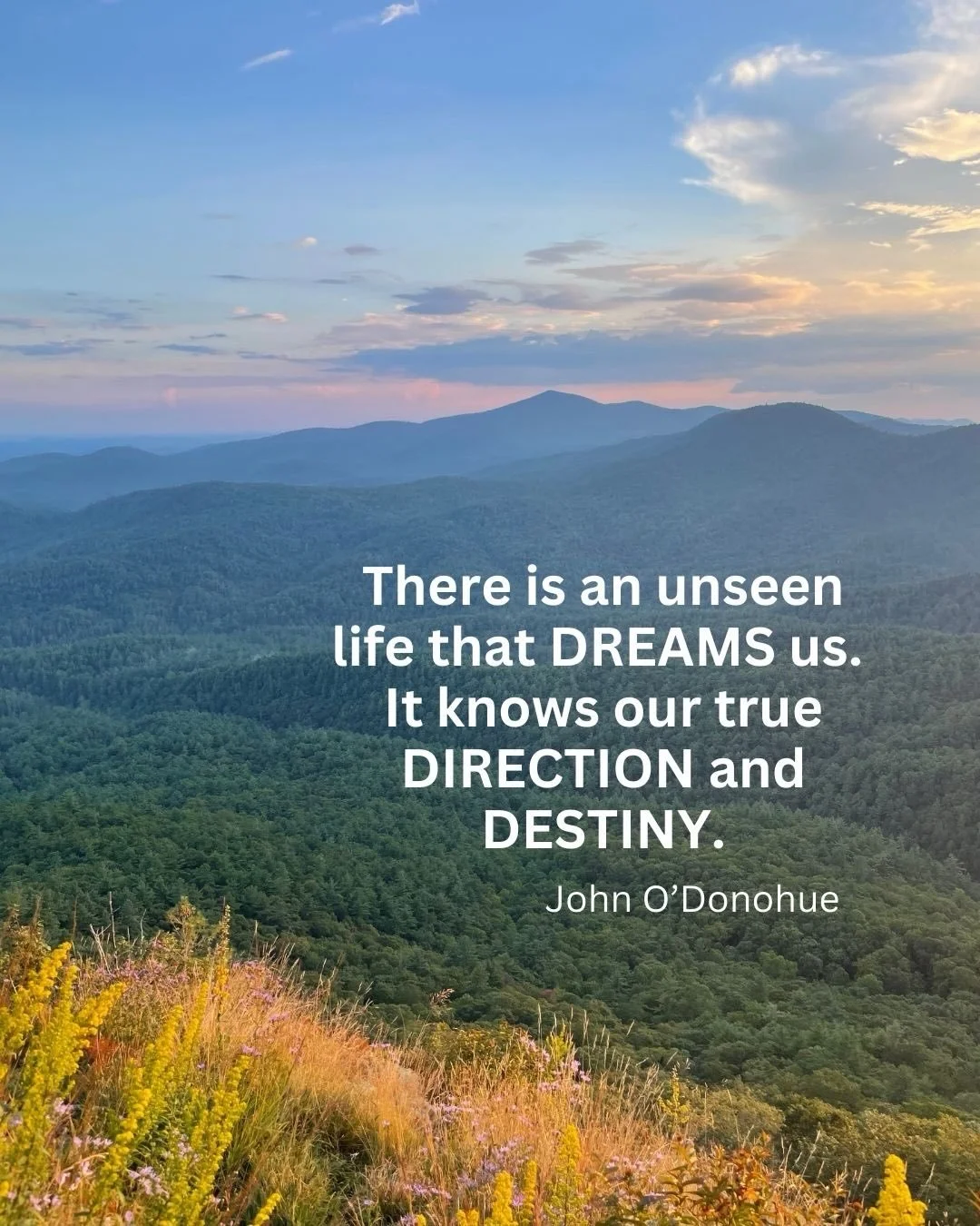 Are you listening, really listening, to your dreams? Are you ready, even if it&rsquo;s a little scary, to open yourself up to what you desire, and what is desiring you? This is the work we do together so that our dreams, desires and wishes are held, 