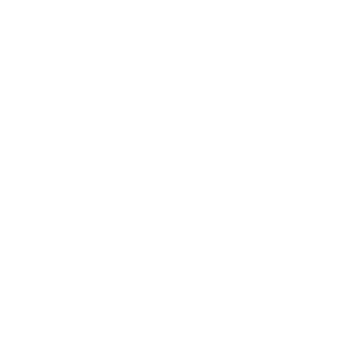 Learner Centered Training