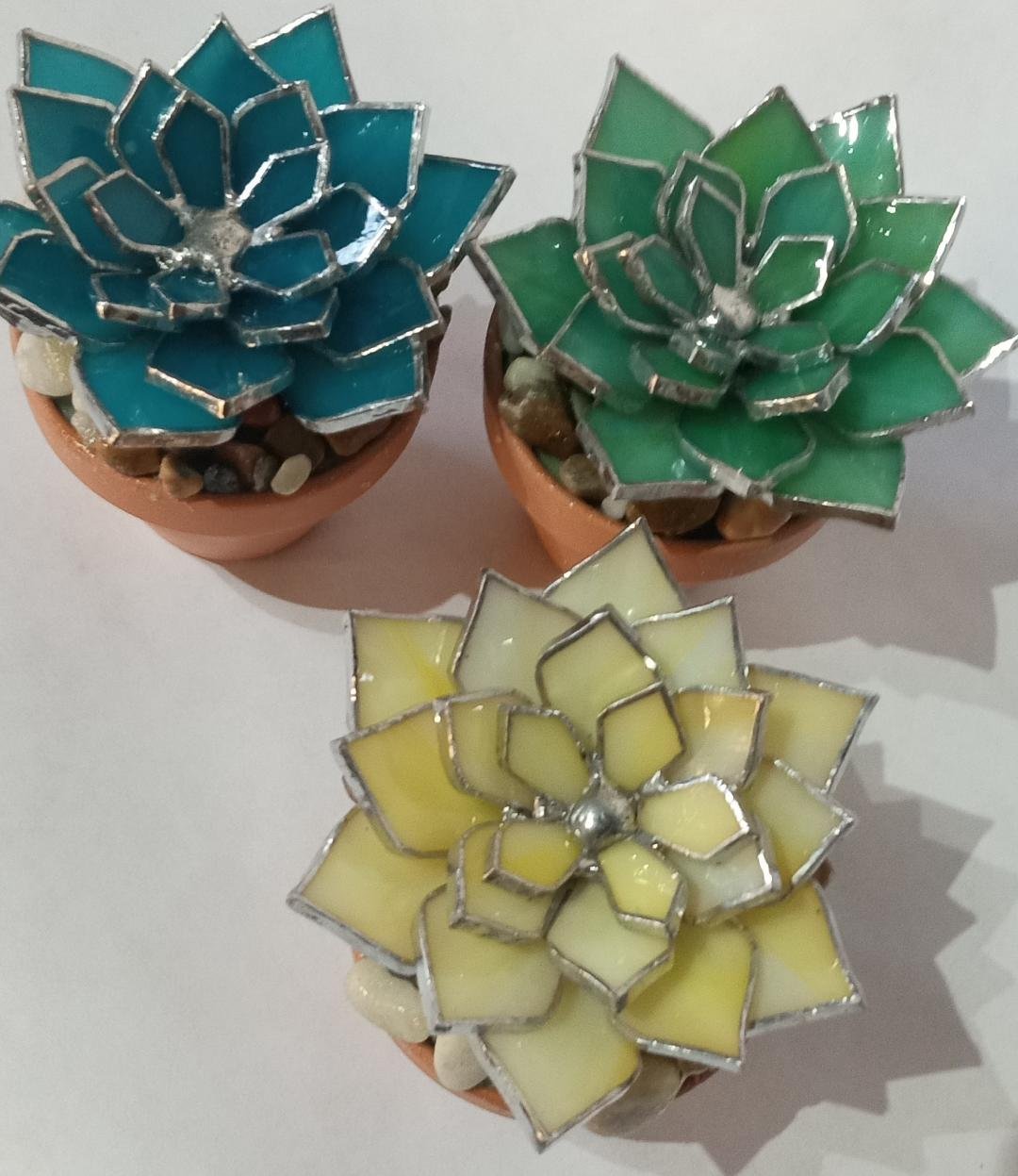 Succulents 2.jpeg
