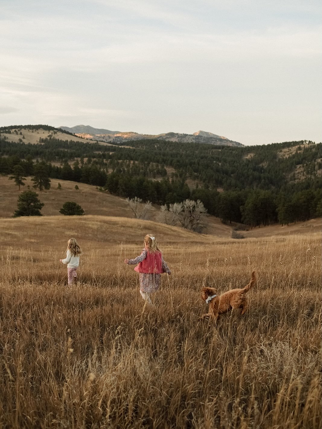 I&rsquo;m convinced all we need for a great shoot is wide open space and a puppy&hellip;&hellip;