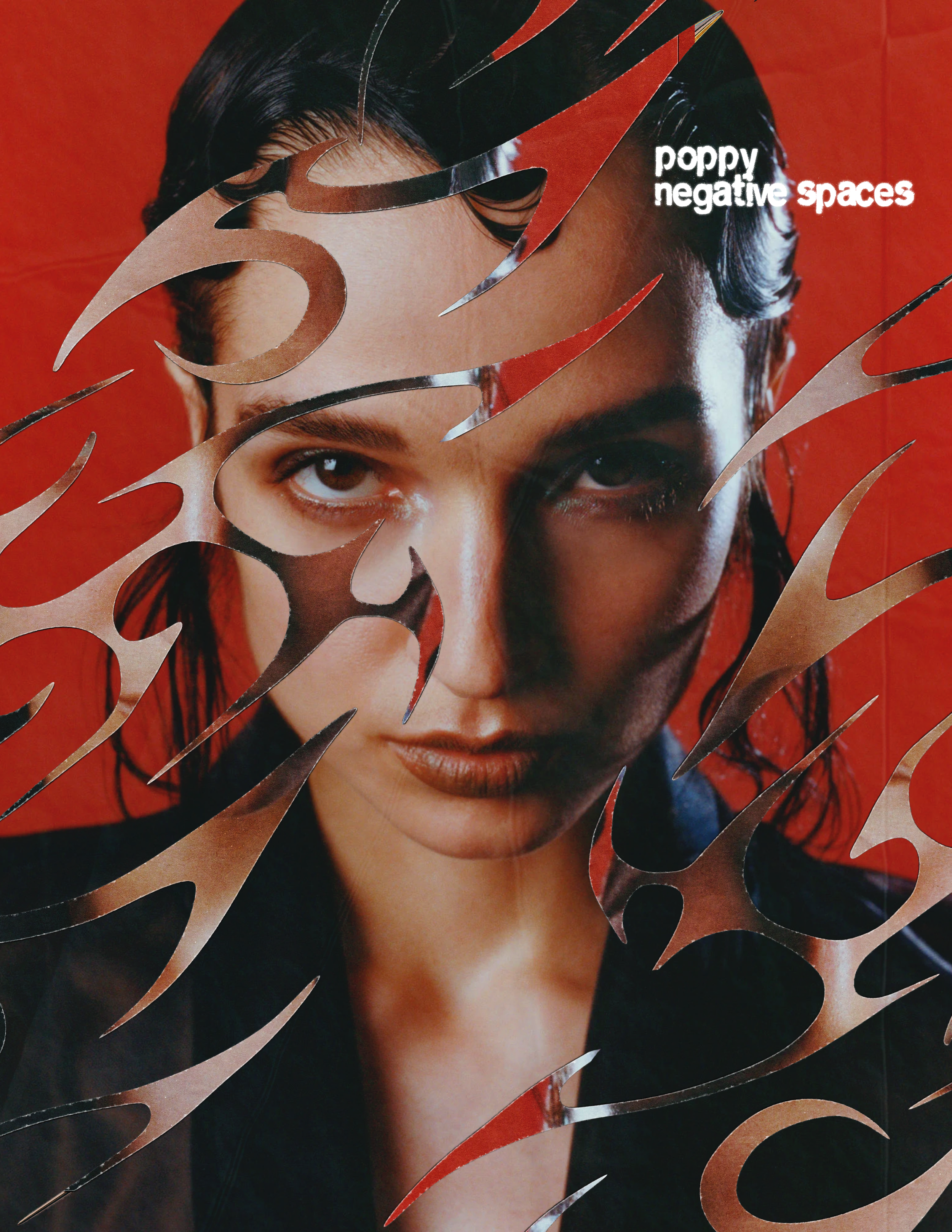 poppy 2.png