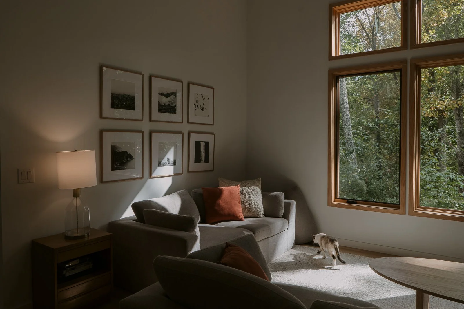 Contrasty photography of a living room with simple decor of grey couches with rust colored pillows and square black and white photos hung above. In the sunlight streaming through windows a cat is walking.