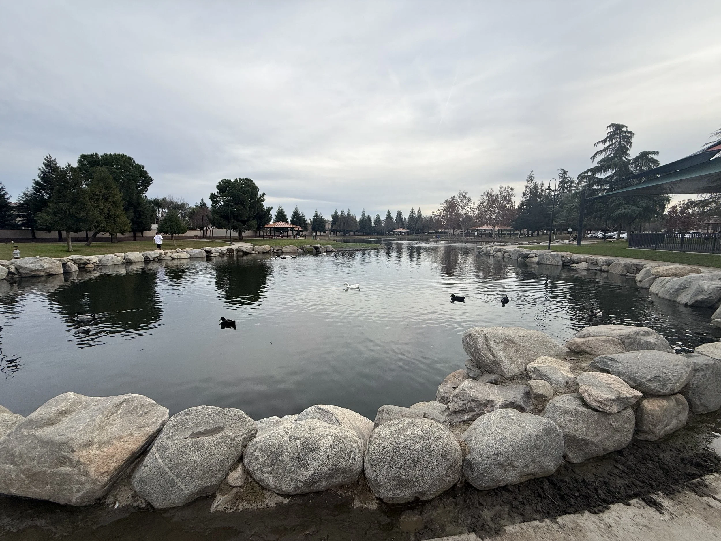 Del Lago duck lake Tulare CA.jpeg