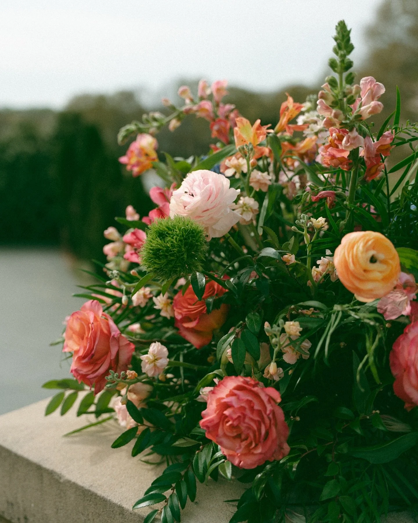 We love a garden party🤌✨🌸🪻💐🌷

Second photographer for @audreyherronphotography 

.

| @scrlgallery #scrl #scrlgallery garden party wedding, wedding florals, colorful wedding inspo, garden party aesthetic #gardenpartywedding #gardenparty #wedding