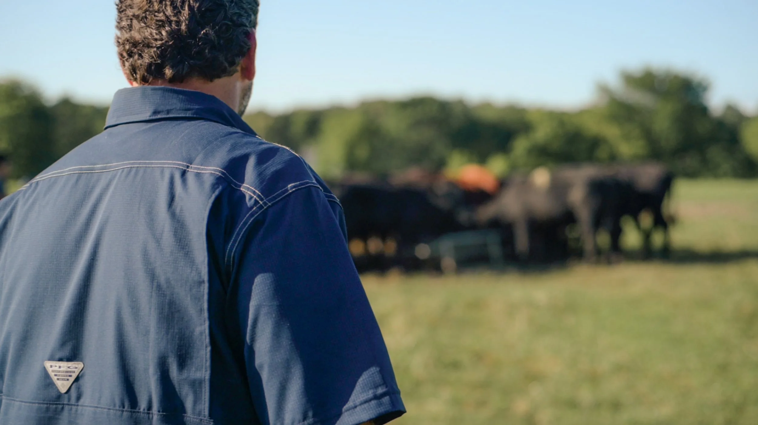 Why Ownership Changes Everything