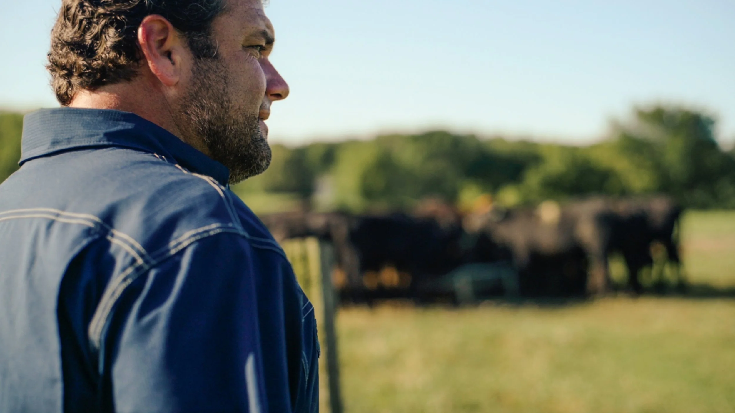 Eight Cents on the Dollar — What the Food System Actually Costs the Farmer