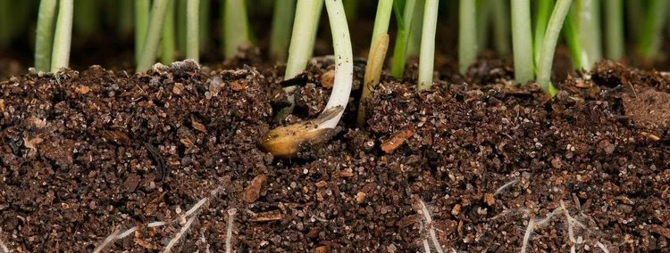 The Land Doesn't Lie — What's Actually Happening to American Farmland and Why It Matters Right Now