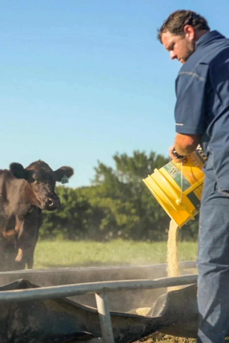 Justin with cows grain.jpg