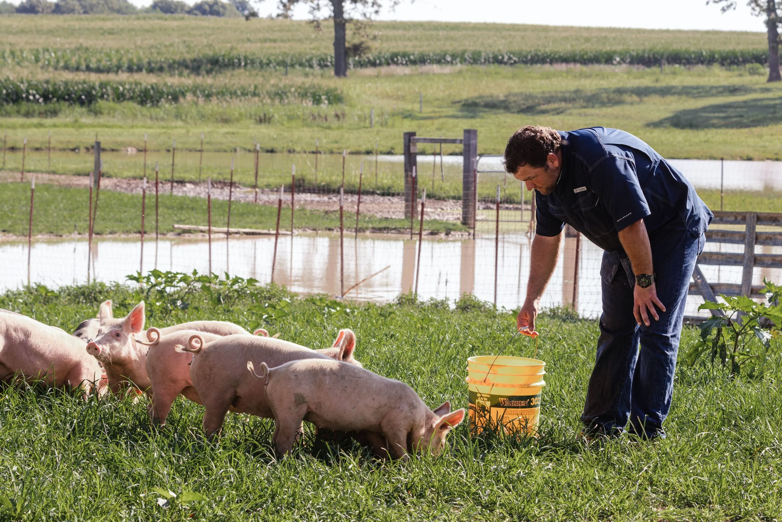 Justin with Pigs.jpeg