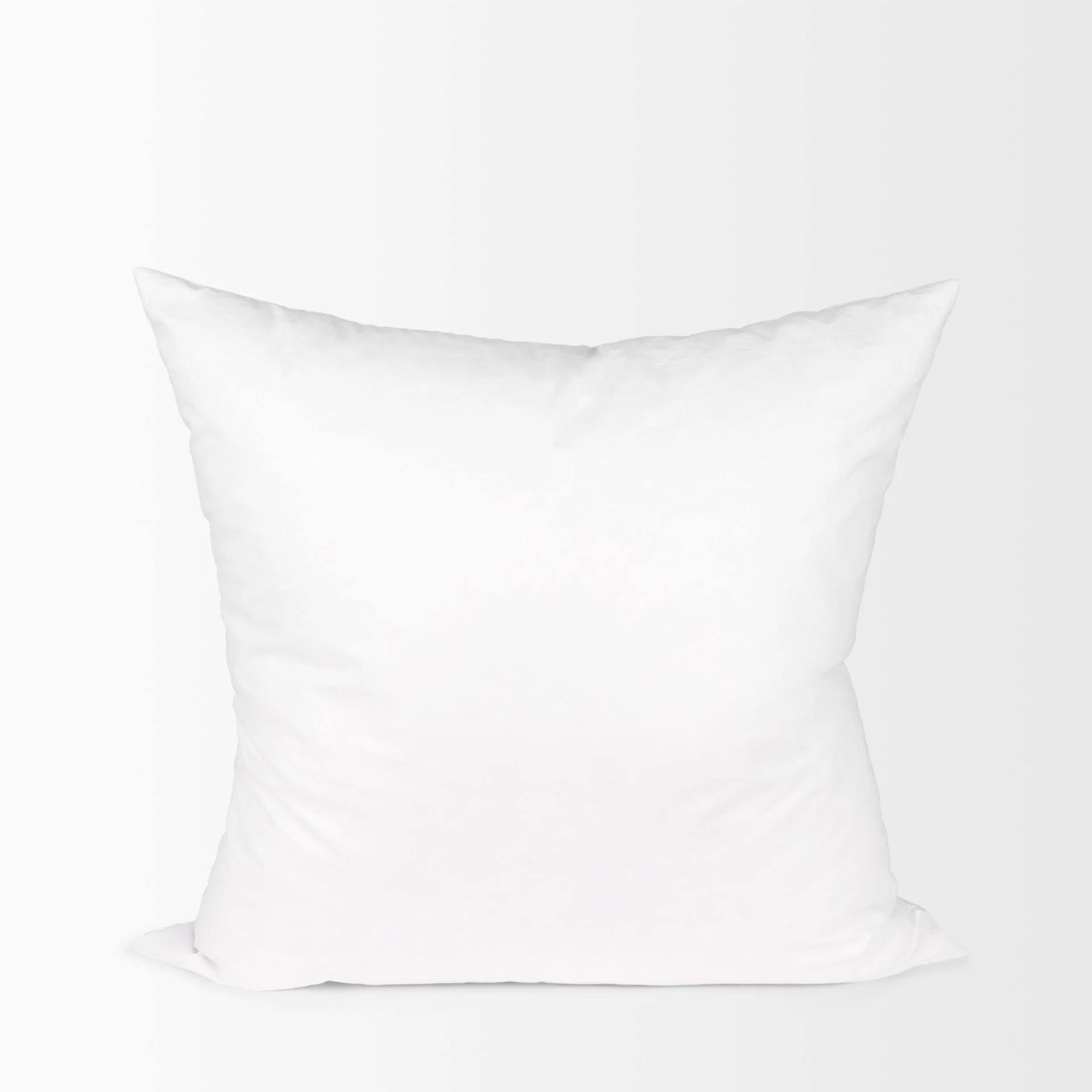 20x20-down-fill-pillow-inset-white-background.jpeg