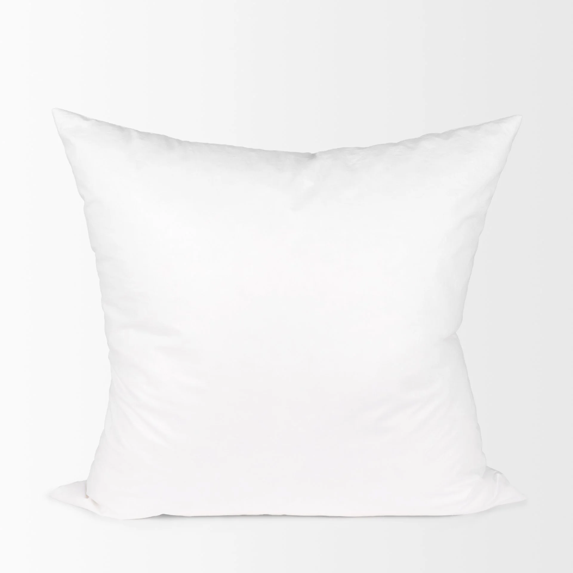 22x22-down-fill-pillow-inset-white-background.jpeg