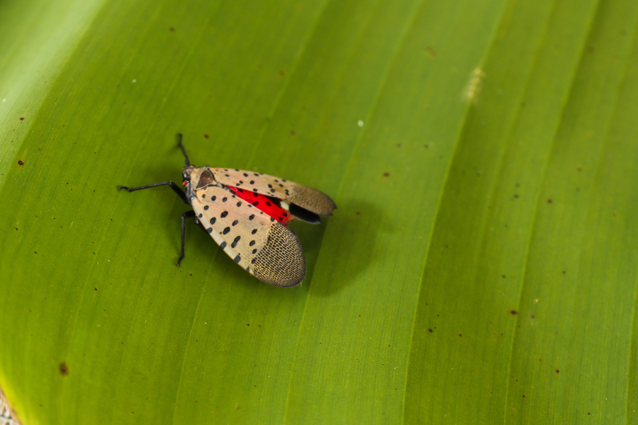 Untitled design - 2024-02-12T125247.107.png