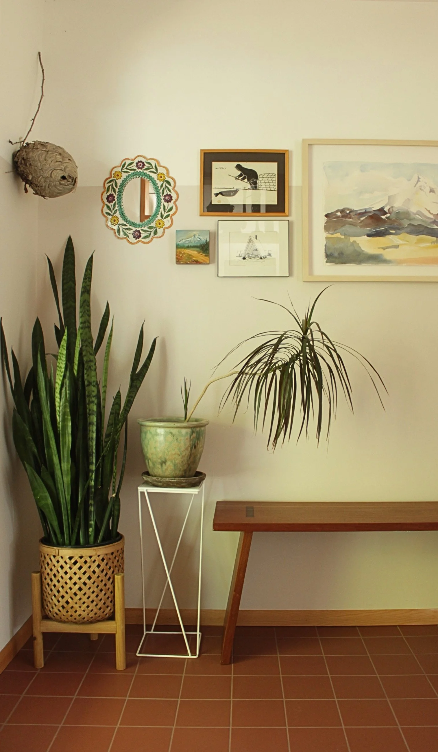Mid-Cenutry Modern aesthetic, biophillic interior design