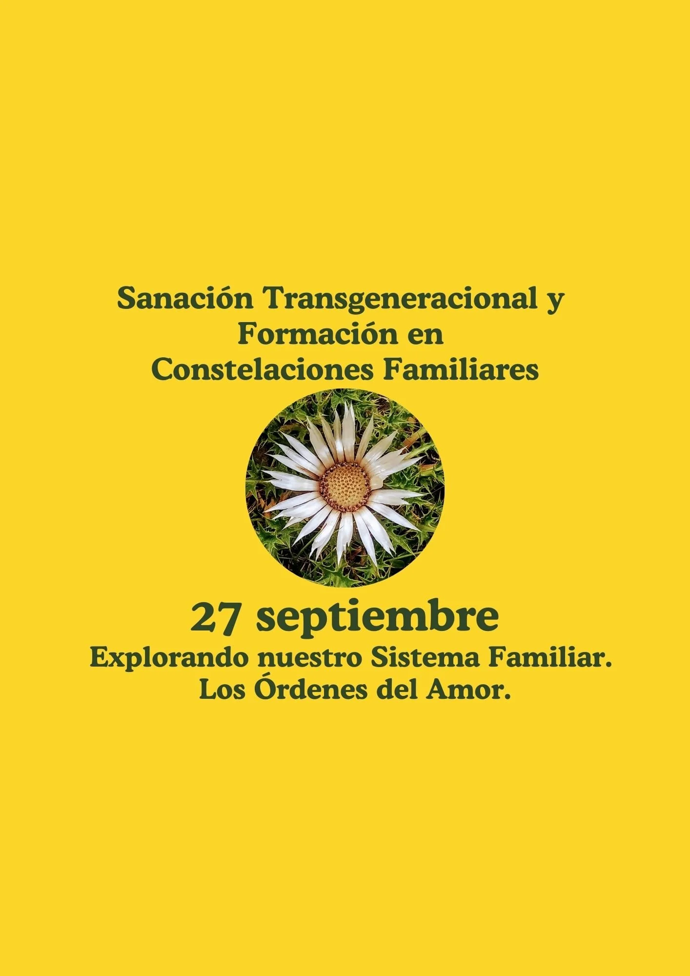 Sanación y Formación 1: Explorando nuestro Sistema Familiar. Los Órdenes del Amor.