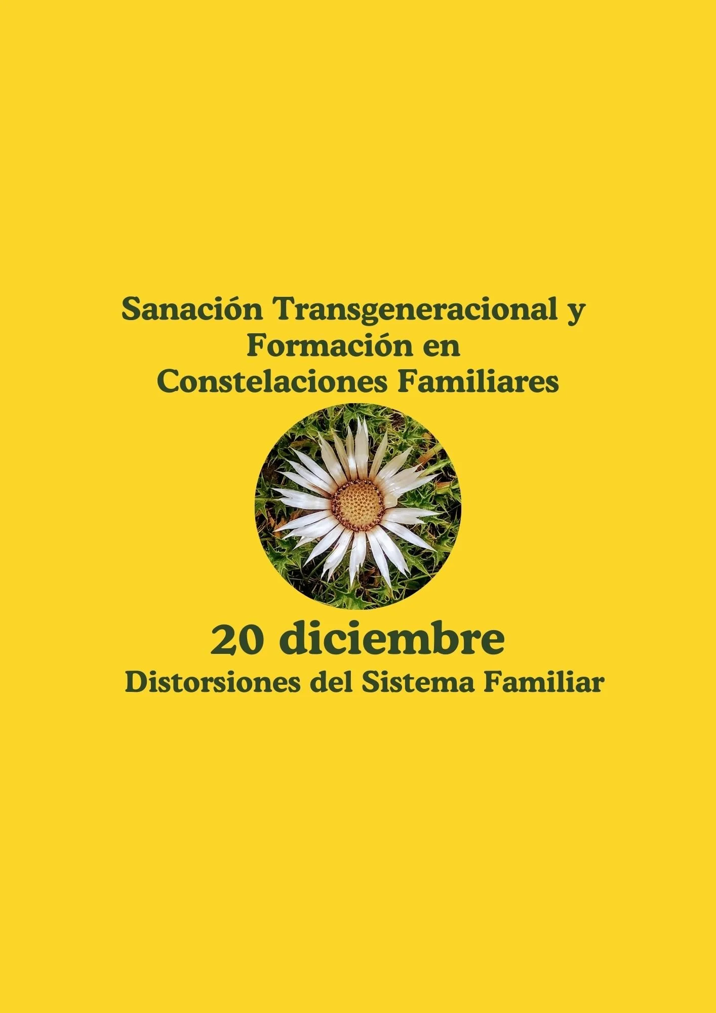 Sanación y Formación 3: Distorsiones del Sistema Familiar